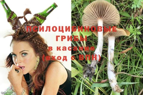 ALPHA PVP Алексин