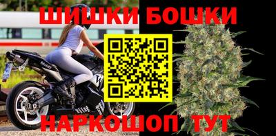 сатива Малгобек
