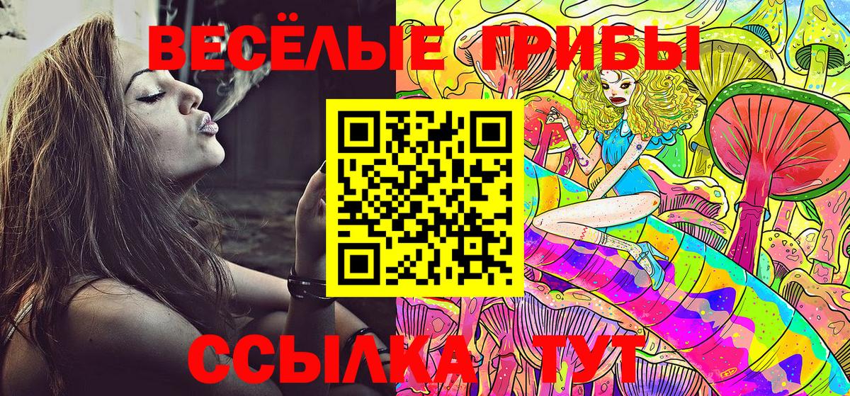 Псилоцибиновые грибы Psilocybe Гусь-Хрустальный