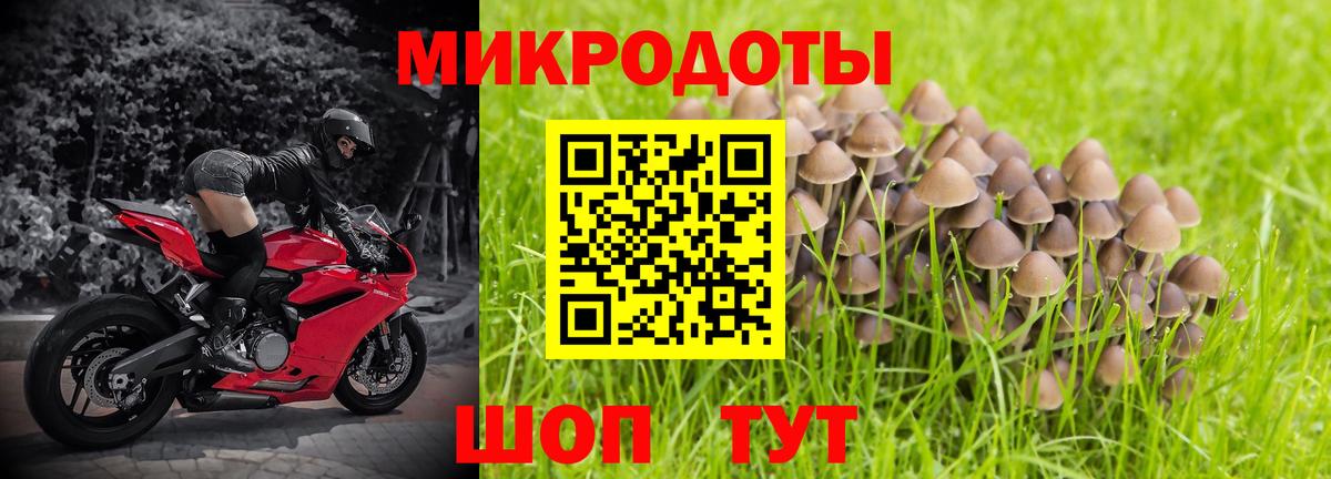 Галлюциногенные грибы Magic Shrooms  Вход с VPN  Гусь-Хрустальный 